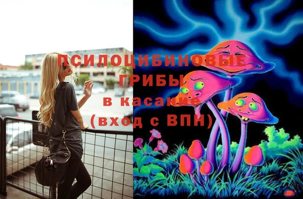 a pvp Алексеевка