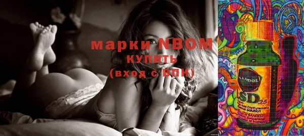 ПСИЛОЦИБИНОВЫЕ ГРИБЫ Алексин