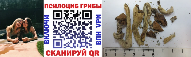 Псилоцибиновые грибы прущие грибы  Куйбышев 