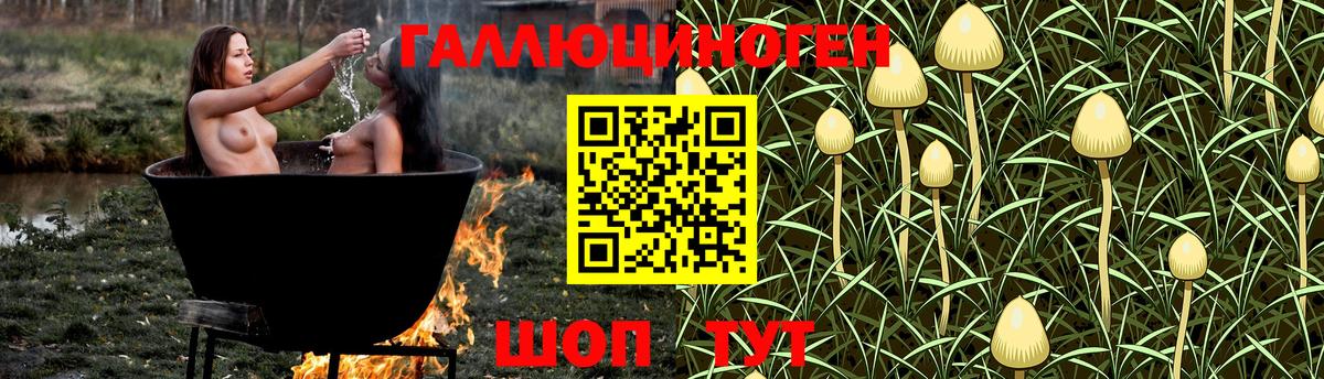 Галлюциногенные грибы мухоморы Куйбышев