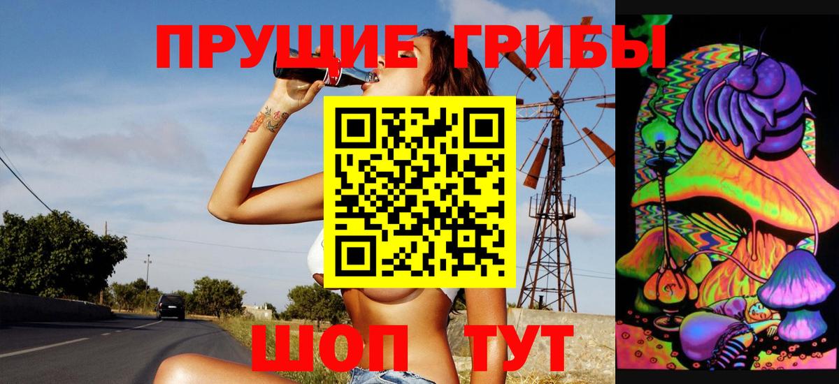 закладка  Псилоцибиновые грибы Cubensis  Вход с VPN  Куйбышев 
